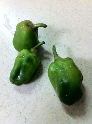 写真 11-08-30 21 23 33.jpeg